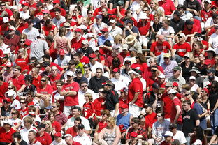 米兰体育下载-体育赛事观众行为特征与管理对策，观众对体育赛事的意义