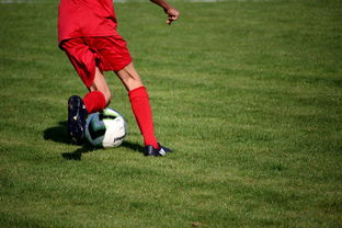 中国米兰体育-校园足球教练培训体系现状与改革思路，校园足球师资培训